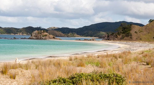 Whangaruru Harbour